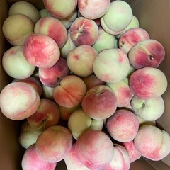 まどかももの画像