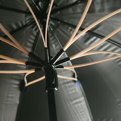 熱中症対策！晴雨兼用傘 桜骨の画像