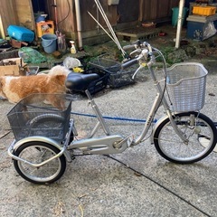 三輪車3段ギャの画像