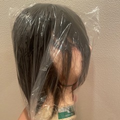 【未開封】美容師実技試験対応カットウィッグ×2頭 の画像