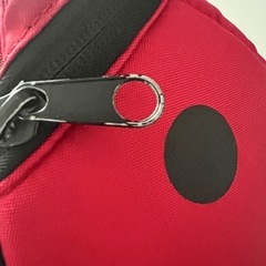 ハーネス付きリュック　littlelife　の画像
