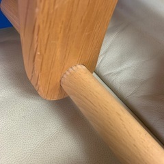 カラー　木馬の画像