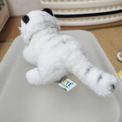 ホワイトタイガー　ぬいぐるみの画像