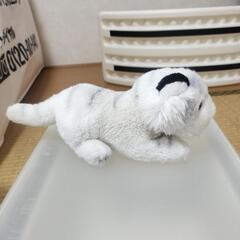 ホワイトタイガー　ぬいぐるみの画像