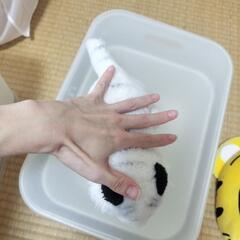 ホワイトタイガー　ぬいぐるみの画像