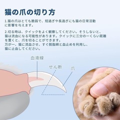 ZeeWii 猫 爪切り 小型ペット用 初心者向け 安全設計 ステンレス刃 の画像
