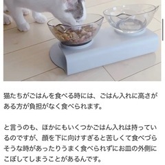 ペット用フードボウル　2連　ホワイト　猫型の画像