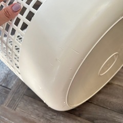 FREDDY LECK フレディレック 洗濯カゴの画像