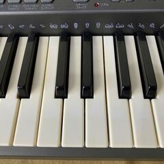 CASIO　カシオ　キーボード　電子キーボード　LK-301BB　ソフトケース付き　譜面台取説無しの画像