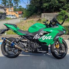 【全塗装】kawasaki ninja 400　カワサキニンジャ の画像