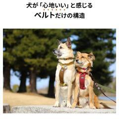 犬用ハーネス サイズLの画像