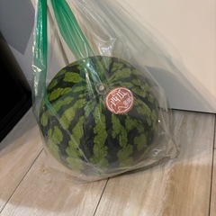 スイカ🍉 取引中の画像