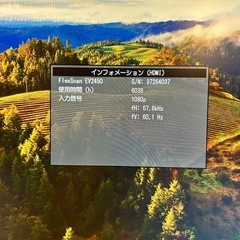 EIZO FlexScan EV2450　モニターの画像