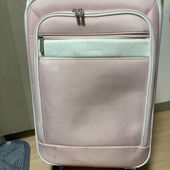 キャリーバッグの画像
