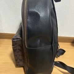 COACH バックパック リュック シグネチャー の画像