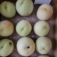 赤磐市の桃の画像