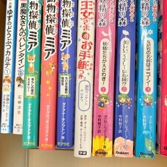 ③児童書17冊　まとめ売り　小学生向けとなりますの画像