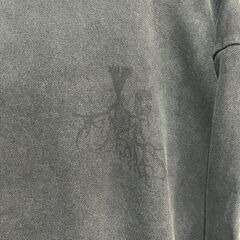 RAF SIMONS 03AW Virginia Creeper期 パーカーの画像