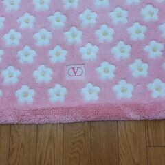 バレンチ、マットsize、縦39×横66cm の画像