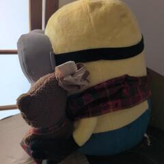ぬいぐるみの画像