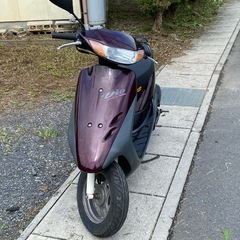 HONDA Live DIO 軽整備❗️実働車両の画像