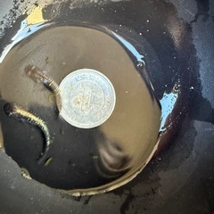 🐟MNF漆黒カガミ鱗アースアイの画像