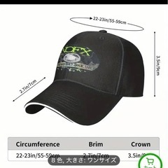 新品未使用NOFXキャップの画像