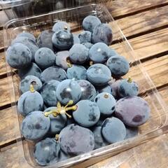 （取引者決定しました）種無巨峰1kg&500gパック付きの画像
