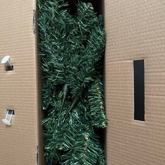 クリスマスツリーの画像