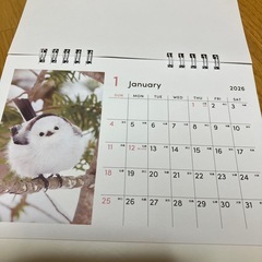 2026卓上カレンダー　もふもふ動物の画像