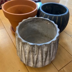 お譲りさせて頂きますの画像