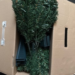 クリスマスツリーの画像