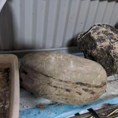 北海道採取の結晶の付いた石‥瑪瑙石など‥天然石　飾り石　アクアリウムなど‥の画像