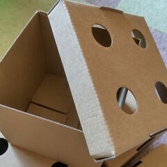 【中古品】ドックノーズワークの画像