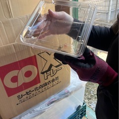 【話し中】使い捨てプラスチック容器【取りに来れる方限定】の画像