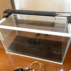 水槽　ライト　ポンプ　メダカ飼ってましたの画像