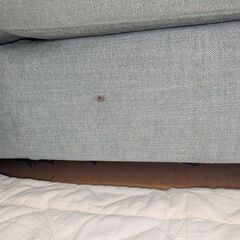 ソファーの画像