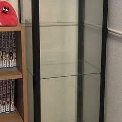 コレクションケースの画像