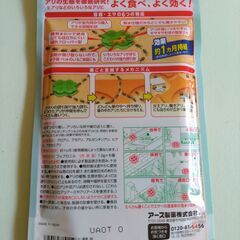 【未開封】アリの巣コロリ　6個セットの画像