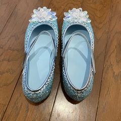 アナ雪 22.0㎝の画像