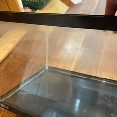 30センチ　水槽の画像