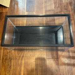 30センチ　水槽の画像