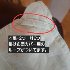 西川羽毛掛け布団と枕セットの画像