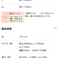 腰痛ベルト　BodyFrame　Lサイズの画像