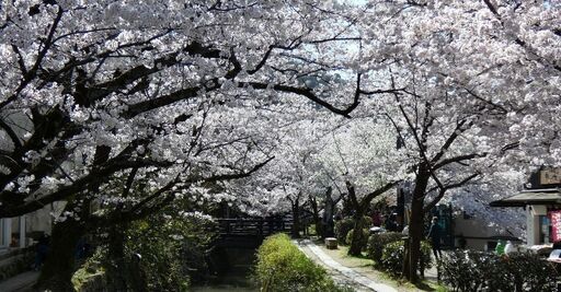 映画・ドラマ・CM 出演します