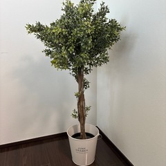 IKEA フェイクグリーン　の画像