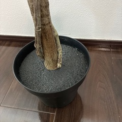 IKEA フェイクグリーン　の画像