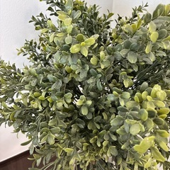 IKEA フェイクグリーン　の画像