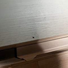 ニトリ　テレビ台　テレビボードの画像