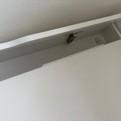 IKEA デスクの画像
